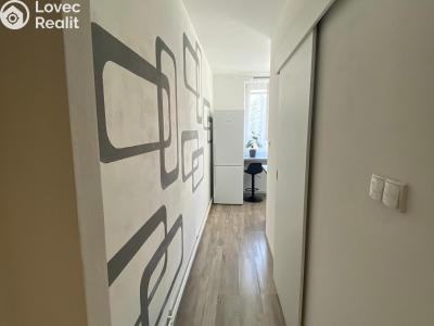 Rent apartment 2+1 Bojkovice, Mánesova II č. 6