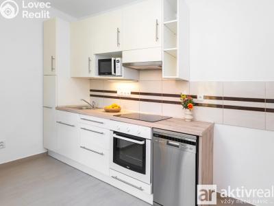 Rent apartment 2+1 Mělník, Matěje Kopeckého č. 1