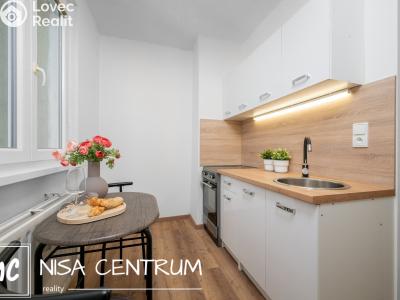 Аренда квартиры 1+1 Jablonec nad Nisou, Jizerská č. 13