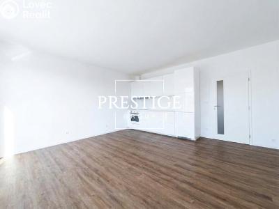 Rent apartment 1+KK Velké Přílepy, Pražská č. 7
