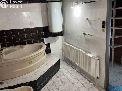 Rent apartment 1+1 Prostějov č. 5