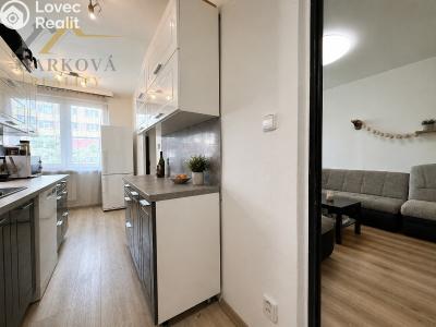 Prodej bytu 2+1 Český Krumlov, Sídliště Plešivec 383 č. 4
