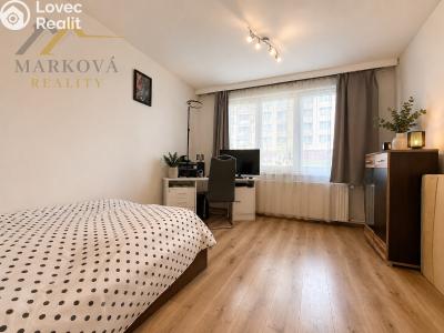 Prodej bytu 2+1 Český Krumlov, Sídliště Plešivec 383 č. 10