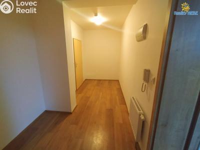 Pronájem bytu 1+KK Vyškov, Smetanovo nábřeží č. 8
