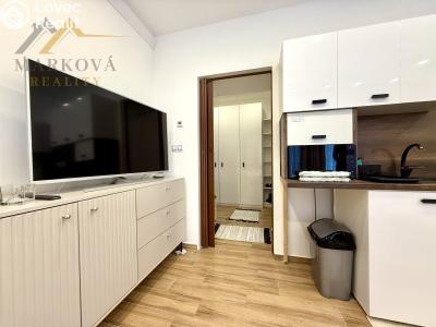 Pronájem bytu 1+KK Písek, Dvořákova 307 č. 6