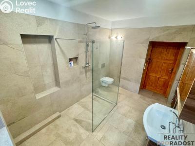 Продаж багатогенного будинку Vanovice č. 10