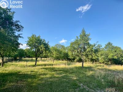Продаж багатогенного будинку Vanovice č. 27
