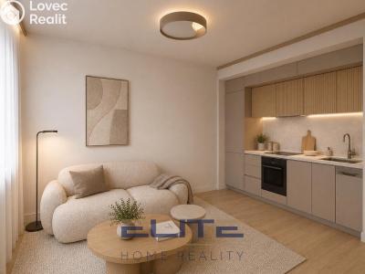 Sale apartment 2+KK Liberec, Gagarinova č. 15