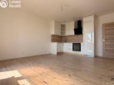Sale apartment 2+KK Havířov, Elišky Krásnohorské č. 2