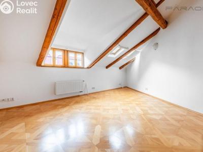 Rent office space Praha, Truhlářská č. 14