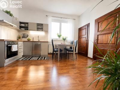 Rent apartment 2+1 Slatiňany, K Vlčnovu 500 č. 1