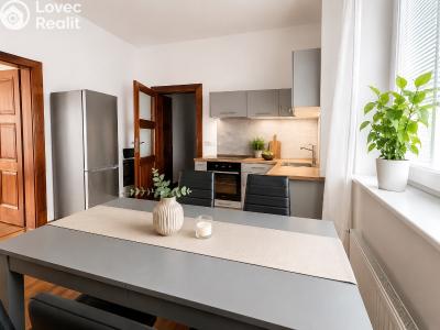 Rent apartment 2+1 Slatiňany, K Vlčnovu 500 č. 2
