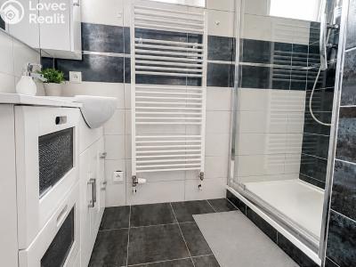 Rent apartment 2+1 Slatiňany, K Vlčnovu 500 č. 4