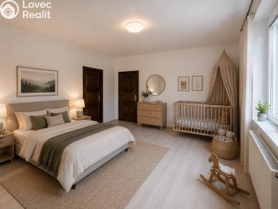 Rent apartment 2+1 Slatiňany, K Vlčnovu 500 č. 7