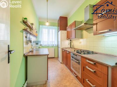 Prodej rodinného domu Kladno, Dlouhá 554 č. 4
