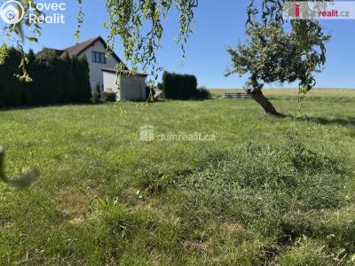 Sale hut Čechtice č. 21