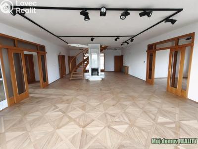 Rent villa Praha, Nový Zlíchov č. 6