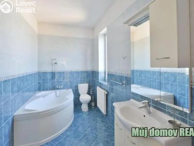 Rent villa Praha, Nový Zlíchov č. 8