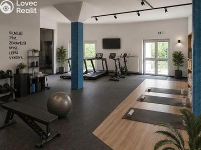 Rent villa Praha, Nový Zlíchov č. 11