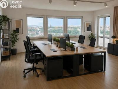 Rent villa Praha, Nový Zlíchov č. 13