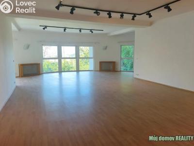 Rent villa Praha, Nový Zlíchov č. 18