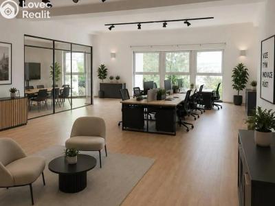 Rent villa Praha, Nový Zlíchov č. 21