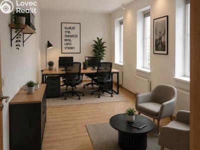 Rent villa Praha, Nový Zlíchov č. 24
