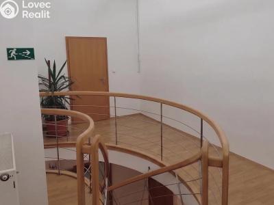 Rent villa Praha, Nový Zlíchov č. 26