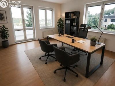 Rent villa Praha, Nový Zlíchov č. 27