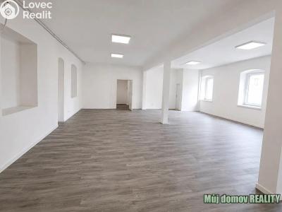 Rent villa Praha č. 2