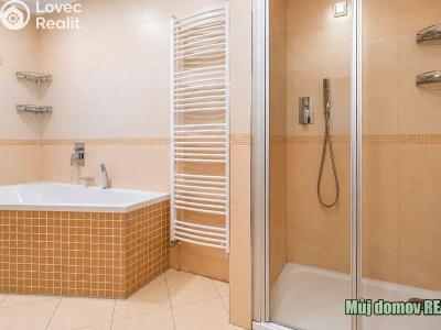 Rent villa Praha č. 3
