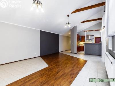 Rent villa Praha č. 8