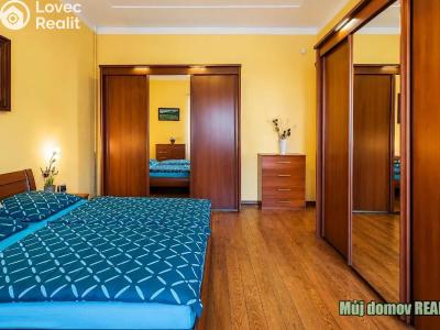Rent villa Praha č. 11