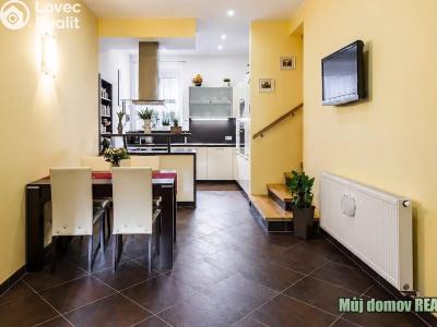 Rent villa Praha č. 13