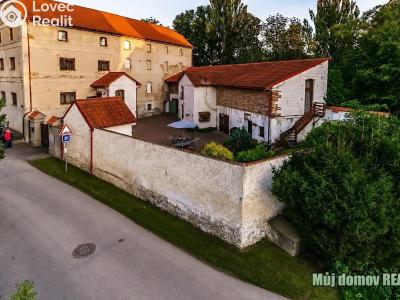 Rent villa Praha č. 19