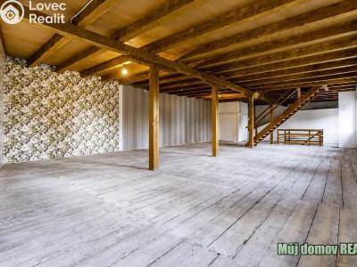 Rent villa Praha č. 22