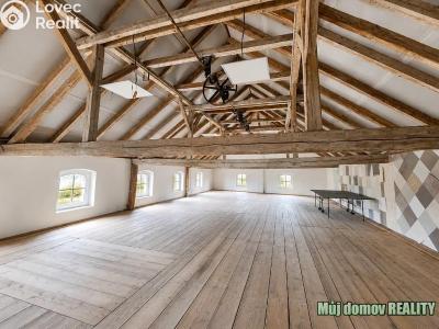 Rent villa Praha č. 23
