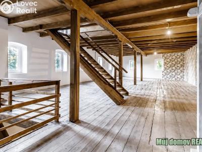 Rent villa Praha č. 24