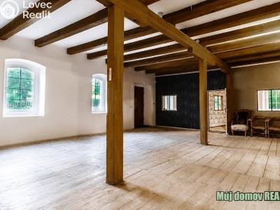 Rent villa Praha č. 25