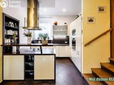 Rent villa Praha č. 28