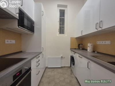Rent apartment 1+1 Praha, Hálkova č. 1