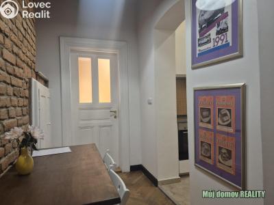 Rent apartment 1+1 Praha, Hálkova č. 6