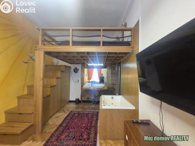 Rent apartment 1+1 Praha, Hálkova č. 7