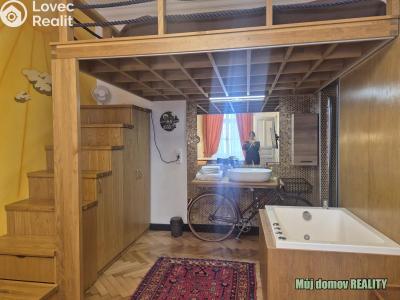 Rent apartment 1+1 Praha, Hálkova č. 8