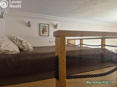 Rent apartment 1+1 Praha, Hálkova č. 10