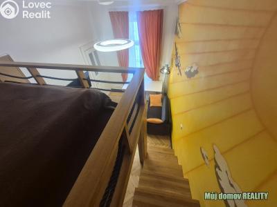 Rent apartment 1+1 Praha, Hálkova č. 11