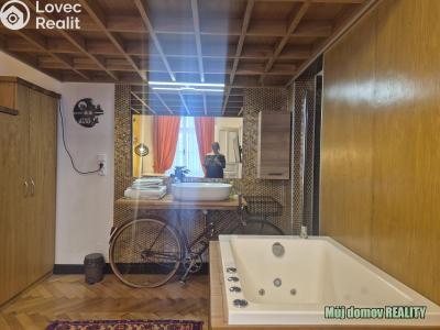 Rent apartment 1+1 Praha, Hálkova č. 13