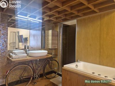 Rent apartment 1+1 Praha, Hálkova č. 14