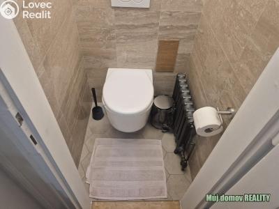 Rent apartment 1+1 Praha, Hálkova č. 20