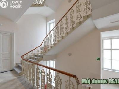 Rent apartment 1+1 Praha, Hálkova č. 21